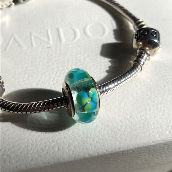 Pandora Bracelet Set - Picture 5 of 6